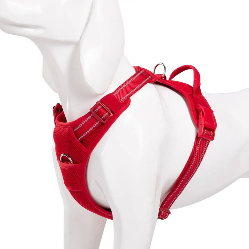 🐾 Harnais pour Chien