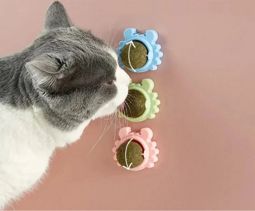 Boule à mâcher murale à la menthe