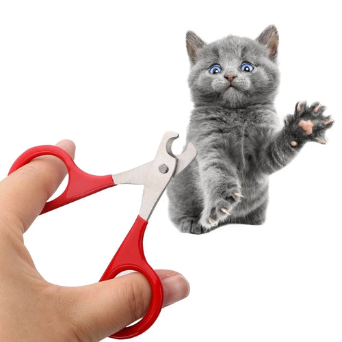 Coupe‑ongles professionnel pour chats, chatons et petits chiens
