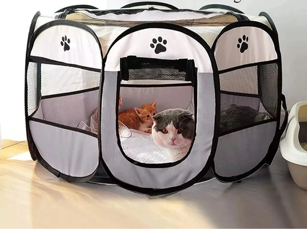 🏕 Tente Portable et Pliable pour Chien et Chat – Idéale pour l’extérieur et le voyage