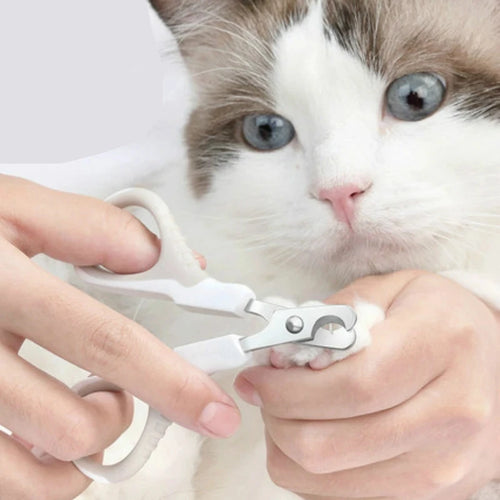 Coupe‑ongles professionnel pour chats, chatons et petits chiens