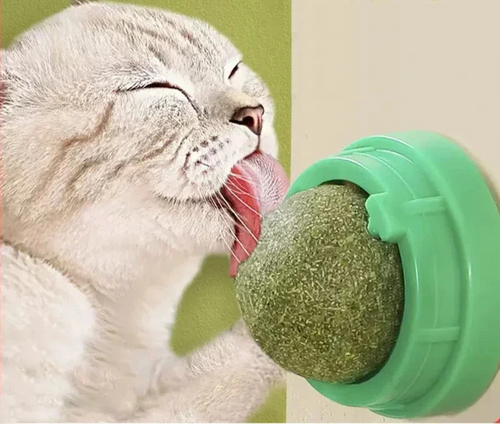 Boule à mâcher murale à la menthe