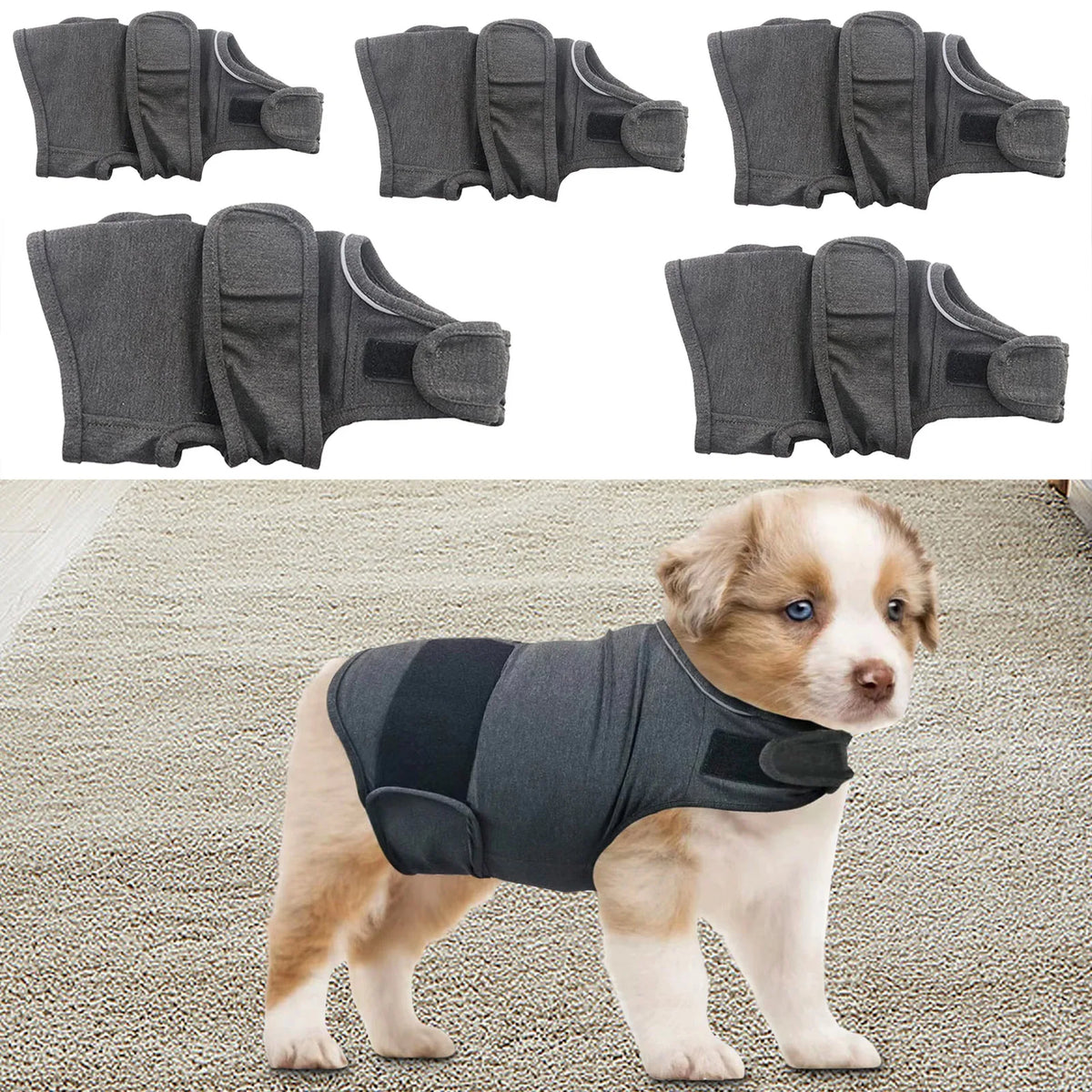 🐾 Veste Apaisante pour Chien Anti-Stress
